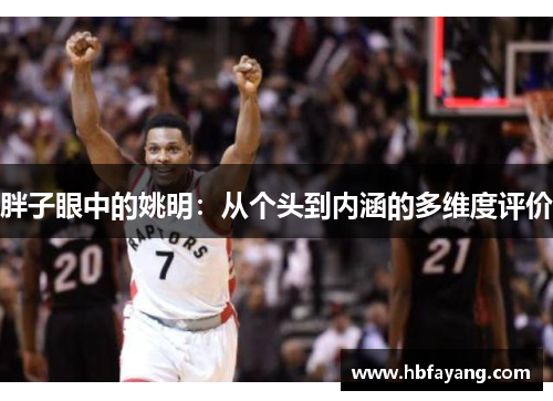 胖子眼中的姚明：从个头到内涵的多维度评价