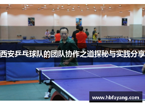 西安乒乓球队的团队协作之道探秘与实践分享